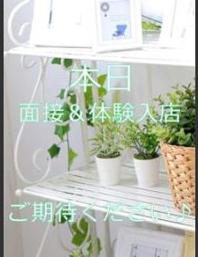 大人の遊園地 まどか