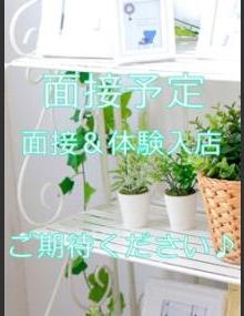 大人の遊園地 ねお